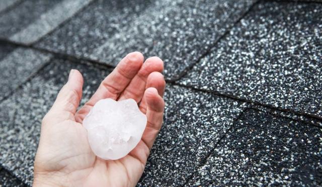Hail Damage