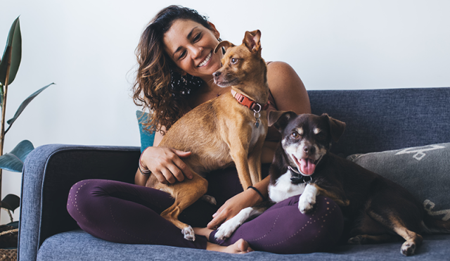 Woman sits on couch with two dogs