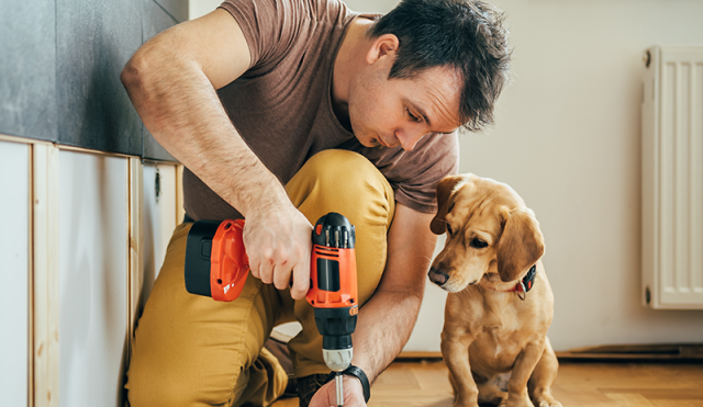 A person drilling wood next to a dog