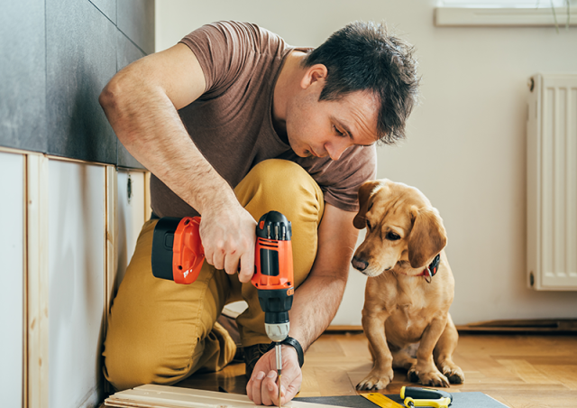 A person drilling wood next to a dog